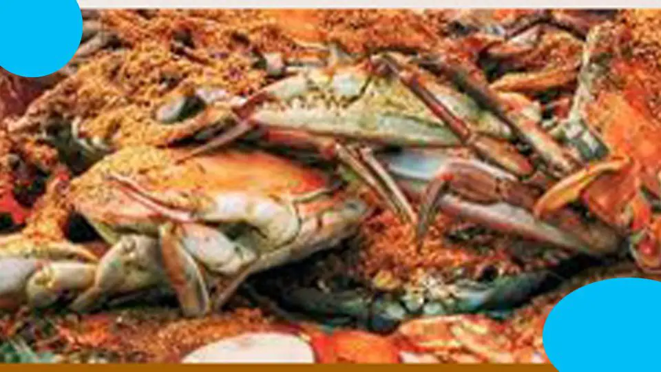dinardo's crab sauce recipe