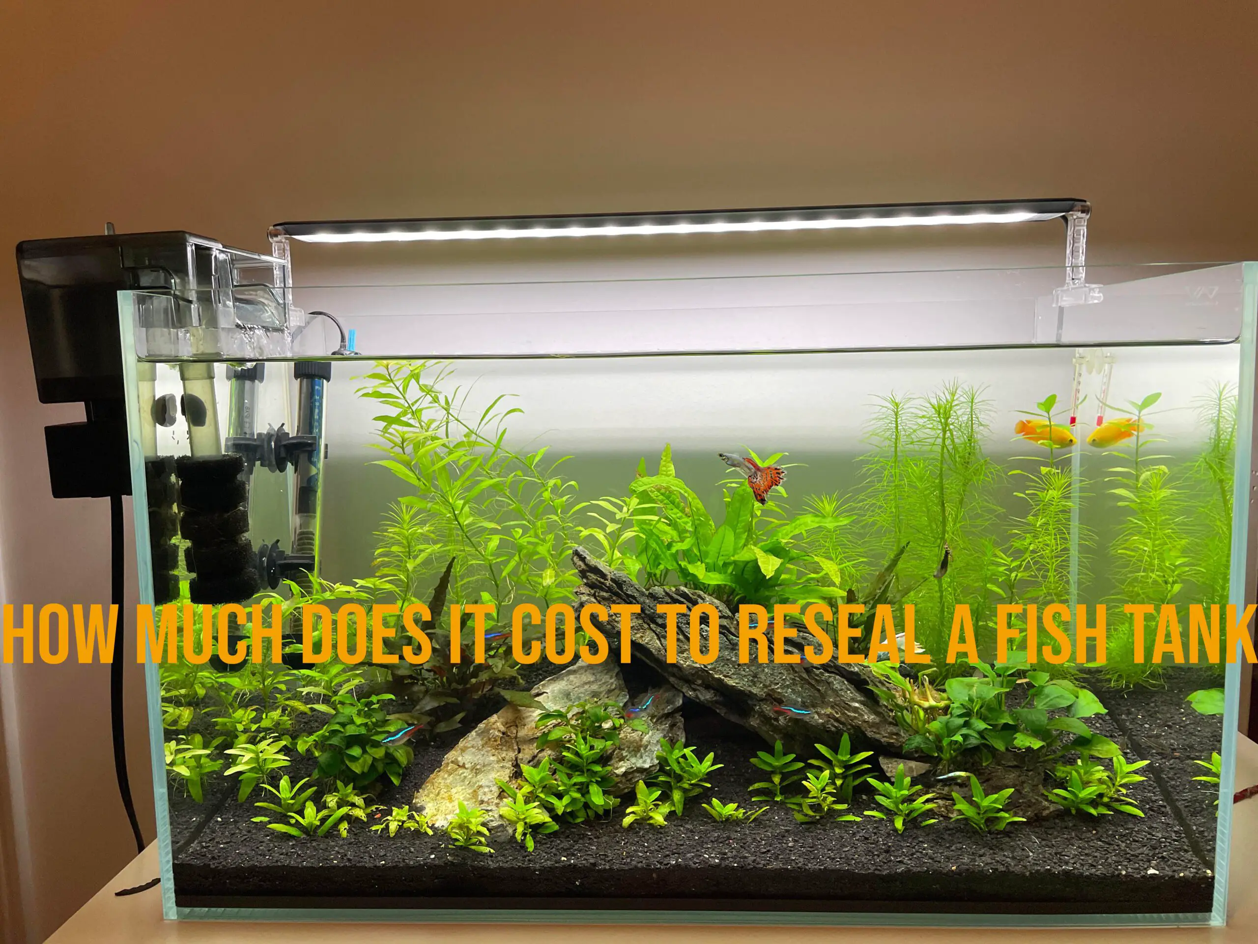 how much does it cost to reseal a fish tank