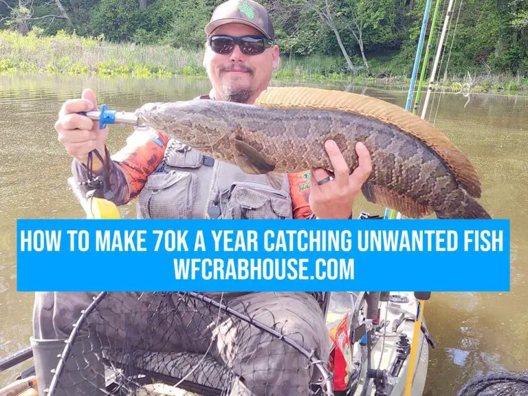 How To Make 70k a Year Catching Unwanted Fish – Secret Plan 23