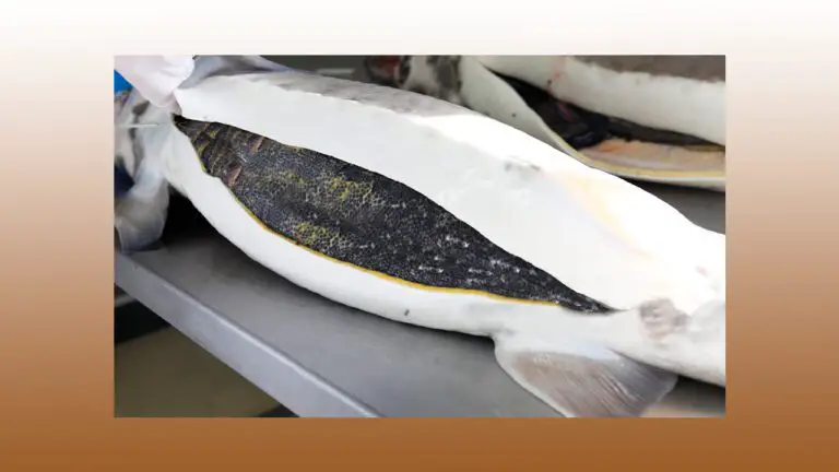 Is Caviar Fish Poop? – Best Caviar Unveiled 2023