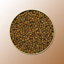 Kaluga Royal Amber Caviar – Best Taste of Luxury 23