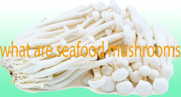 What Are Seafood Mushrooms – Best Culinary Adventure 2023