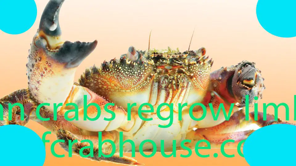 can crabs regrow limbs