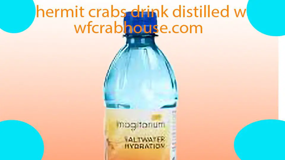 can hermit crabs drink distilled water
