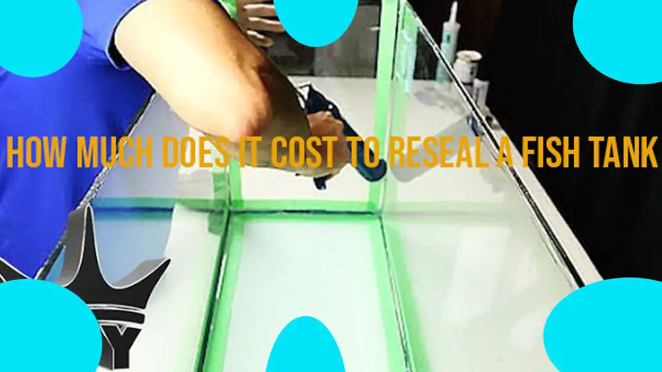 how much does it cost to reseal a fish tank