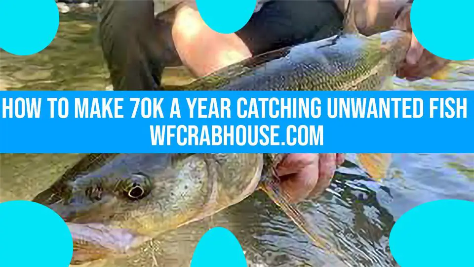 how to make 70k a year catching unwanted fish