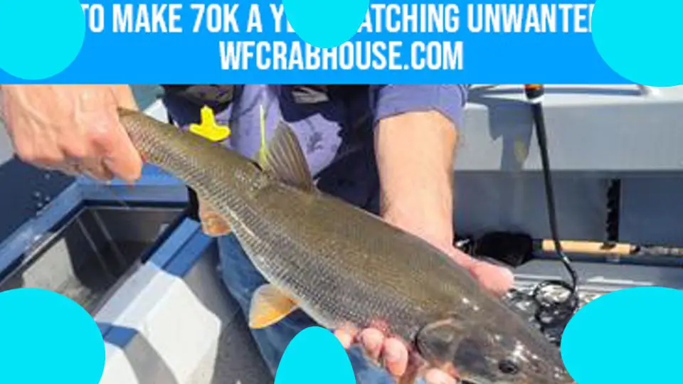how to make 70k a year catching unwanted fish