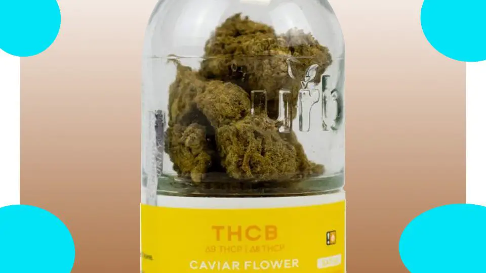 urb caviar flower review